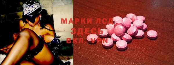 твердый Тайга