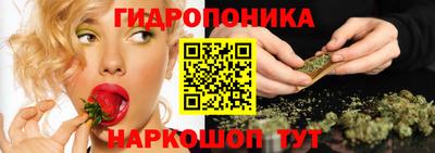эйфоретик Гусь-Хрустальный
