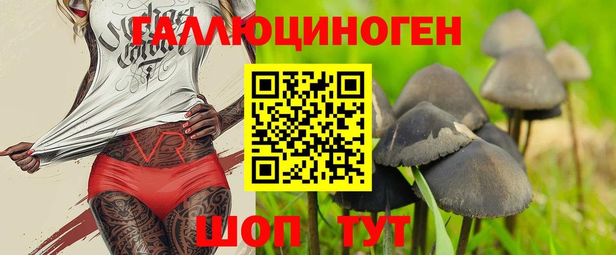 Галлюциногенные грибы MAGIC MUSHROOMS  Вход с VPN  как найти закладки  Керчь 